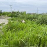 草刈りマサぉ。｜富山で解体工事ならACEにお任せ！