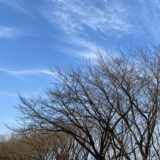 「春はまだかのぅ。」｜富山で解体工事ならACEにお任せ！