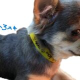 「風呂解体。」｜富山で解体工事ならACEにお任せ！