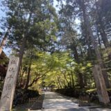 「福井旅日記。」｜富山で解体工事ならACEにお任せ！