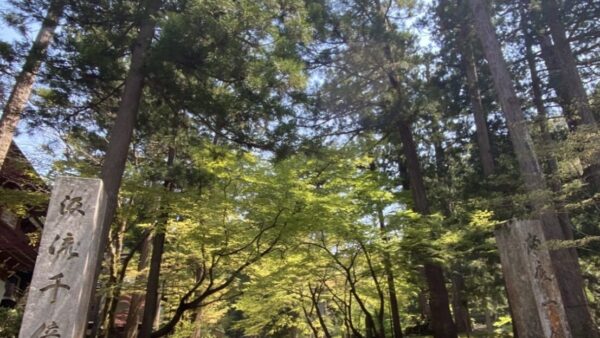 「福井旅日記。」｜富山で解体工事ならACEにお任せ！