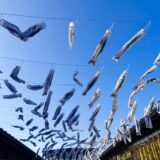 「GW休業日についてのお知らせ。」｜富山で解体工事ならACEにお任せ！