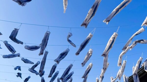 「GW休業日についてのお知らせ。」｜富山で解体工事ならACEにお任せ！